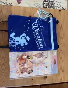バケーションパッケージ東京ディズニーランド　バックチャームショルダーバッグ非売品