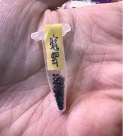 すーさん様 リクエスト 2点 まとめ商品