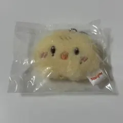 ATEEZ ポップアップ COLOR ピョンミン ミンギ ぬいぐるみ Tiny - メルカリ