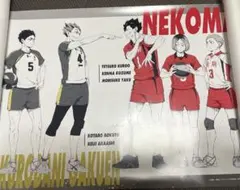 ハイキュー!! 音駒 梟谷 ポスター B3 ポートレートポスターコレクション L