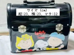 Item thumbnail for item 1c4e36b3-81df-4153-a2f6-22d74c2d2b21