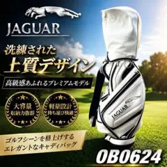 送料込✨フード付✨デサント キャディバッグ DQBUJJ00 9.5型 ホワイト