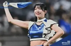 Item thumbnail for item c9beec57-83a2-4779-a675-266eac182128