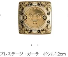 新品 ヴェルサーチ ローゼンタール プレステージガーラ プレート 10