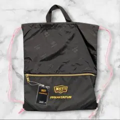 Item thumbnail for item 46413e6d-5d86-4601-a689-29cd8db0ec26