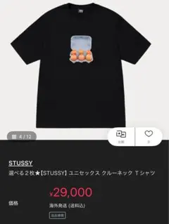 STUSSYTシャツ