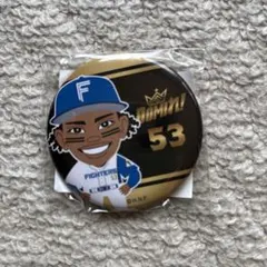 ファイターズドミれ！缶バッチ