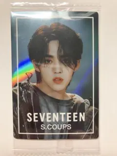 SEVENTEEN セブチ ウエハース ノーマルシール エスクプス