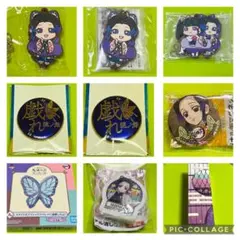 鬼滅の刃【胡蝶しのぶ　セット】