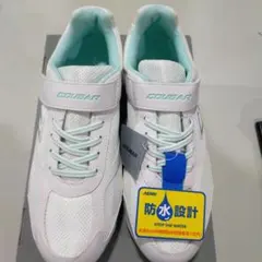 Item thumbnail for item f9e6fa24-d193-48f1-8079-360fc43fd7f4