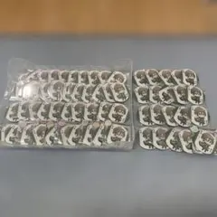 浦島坂田船 センラ RTN 缶バッジ タッグライブ まとめ売り ツーマン 浦島坂田船 センラ RTN 缶バッジ タッグライブ まとめ売り