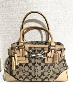 2026年最新】Y2K バッグ coachの人気アイテム - メルカリ