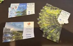 平和 HEIWA 株主優待券 1000円券12枚 - メルカリ