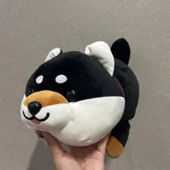 【プロフ商品説明必読】浅草 ハッピー豆柴 特賞 黒柴【即購入⭕️】 プロフ商品説明必読】浅草 ハッピー豆柴 特賞 黒柴【即購入