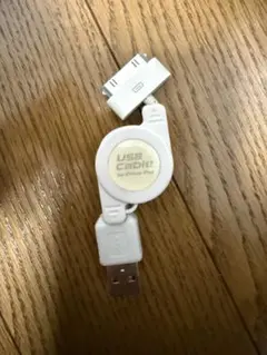 ギ*ブ様 Lightning ライトニング USBケーブル for iPhone