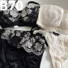 【B70】ブラジャーショーツのセット（Tバックデザイン）