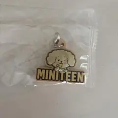 MINITEEN ミニティーン　DK ドア　DOA