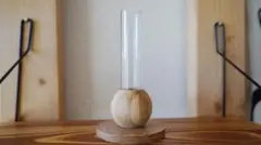 Item thumbnail for item bd3b1b8c-1016-45a8-8d94-96647712ffa0