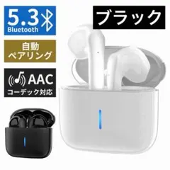 1点限り‼️ワイヤレスイヤホン 高音質HiFi Bluetooth5.3 ブラック