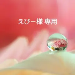 えぴー様 リクエスト 10点 まとめ商品