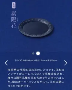 【新品未開封】サントリー 金麦 花やか皿の大皿 6月 紫陽花のサムネイル