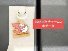 30th ポケチャーム2 ホゲータ