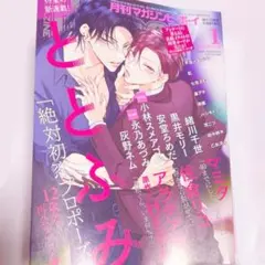 マガジンビーボーイ　1月号