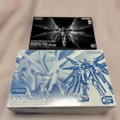 2026年最新】RG 1/144 ストライクフリーダムガンダム［チタニウム