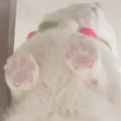 ＊kona☆*゜様 オーダーページ