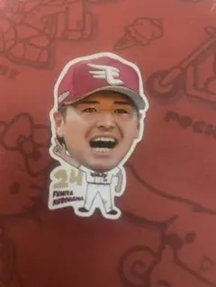 Nojima様 リクエスト 3点 まとめ商品