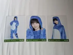 池田瑛紗 福井 生写真 コンプ 恐竜 ライブt - メルカリ