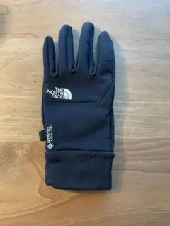 THE NORTH FACE GORE-TEX手袋 Sサイズ　左手のみ