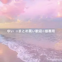 開府のみ　straykids ヒョンジン メンプロ 南京錠ネックレス 公式 開府のみ straykids ヒョンジン メンプロ 南京錠ネックレス 公式
