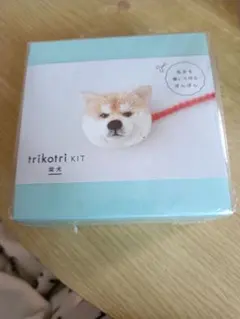 Item thumbnail for item 6bb68f5e-53d2-4dcc-b0eb-602717eb7baf