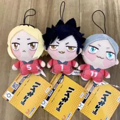ハイキュー!! ちょぴぬいぷち 3種コンプリートセット ぬいぐるみ