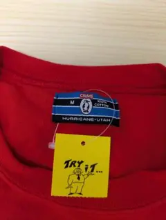 未使用？CHUMS Tシャツ Mサイズ US企画のサムネイル