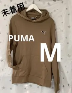 Item thumbnail for item 6ecdff8d-a363-4ec7-8b0f-b541c01cb210