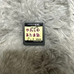 やわらかあたま塾 DS ソフト