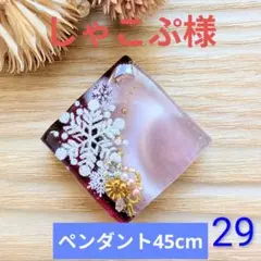 しゃこぷ様　(同梱-100込)2点おまとめ専用ページ