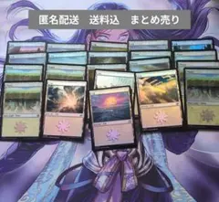 MTG　Foil　基本土地　平地/Plains　　21枚まとめ売り
