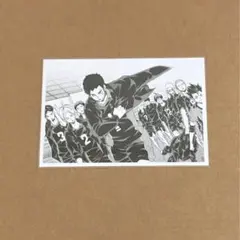 ハイキュー 10th クロニクル 思い出スナップフォトカード 烏野 月島