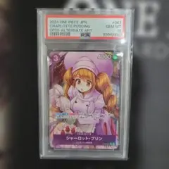 2026年最新】プリン パラレル psa10の人気アイテム - メルカリ