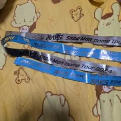 SnowMan 2024 RAYS 銀テ2枚セット