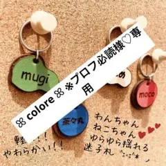 ꕤ colore ꕤ ※プロフ必読様♡専用