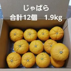 じゃばら　合計12個　1.9kg　送料込み