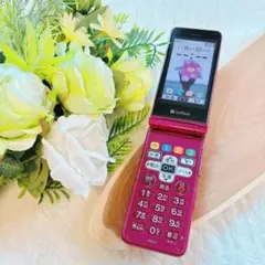 動作確認初期化済みSoftBank843SHSHARPガラケーかんたんケータイ