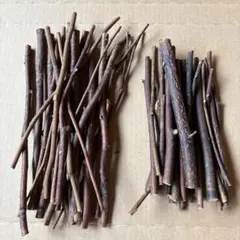 Item thumbnail for item 4b446fb3-1b57-4e65-b6c0-50197598532f