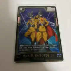 fb07-051 ガンマ1号:sh ガンマ2号:sh パラレル