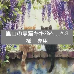 里山の黒猫キキ꒰ঌ^. ̫ .^໒꒱様　専用