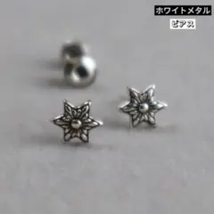 Item thumbnail for item f2248d75-d3a4-4b56-9da1-b59b54729e34